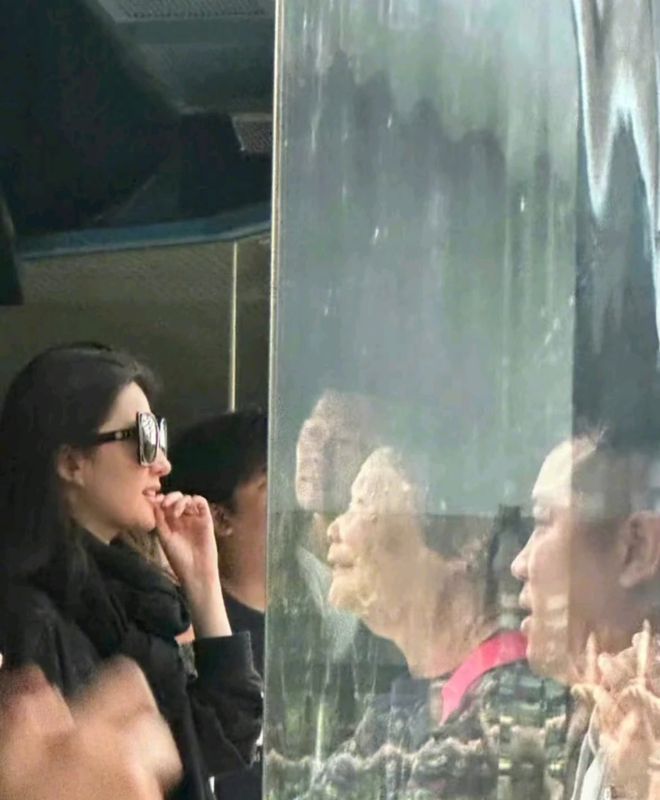 刘亦菲现身香港海洋公园脸上戴着黑色墨镜对着玻璃扯自己嘴皮(图1)