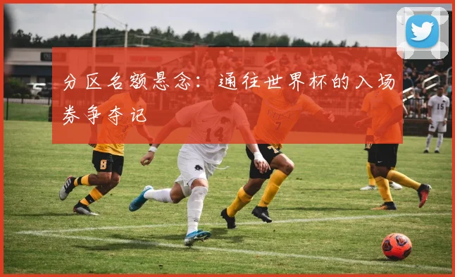 分区名额悬念:通往世界杯的入场券争夺记