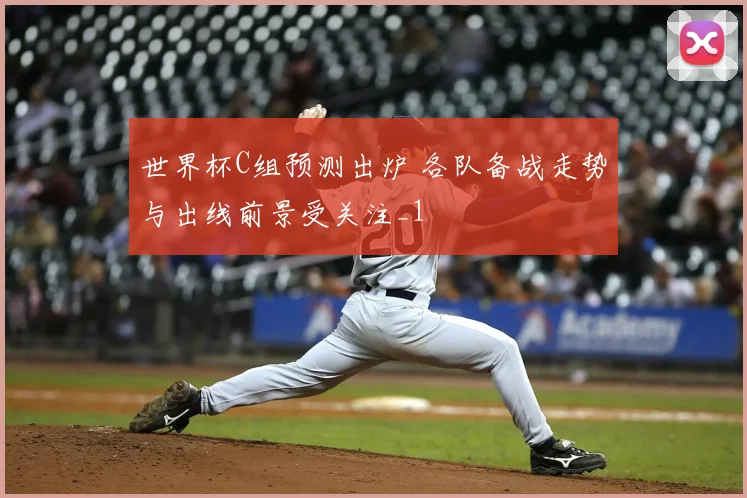 世界杯C组预测出炉 各队备战走势与出线前景受关注_1