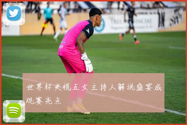 世界杯央视五女主持人解说盛宴成观赛亮点